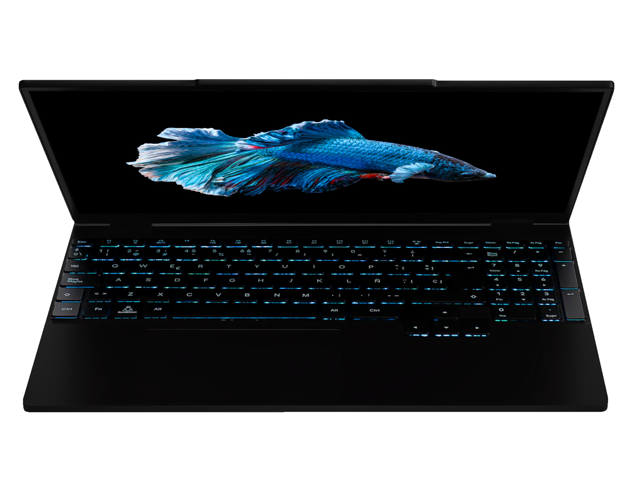 Imagen de la diapositiva