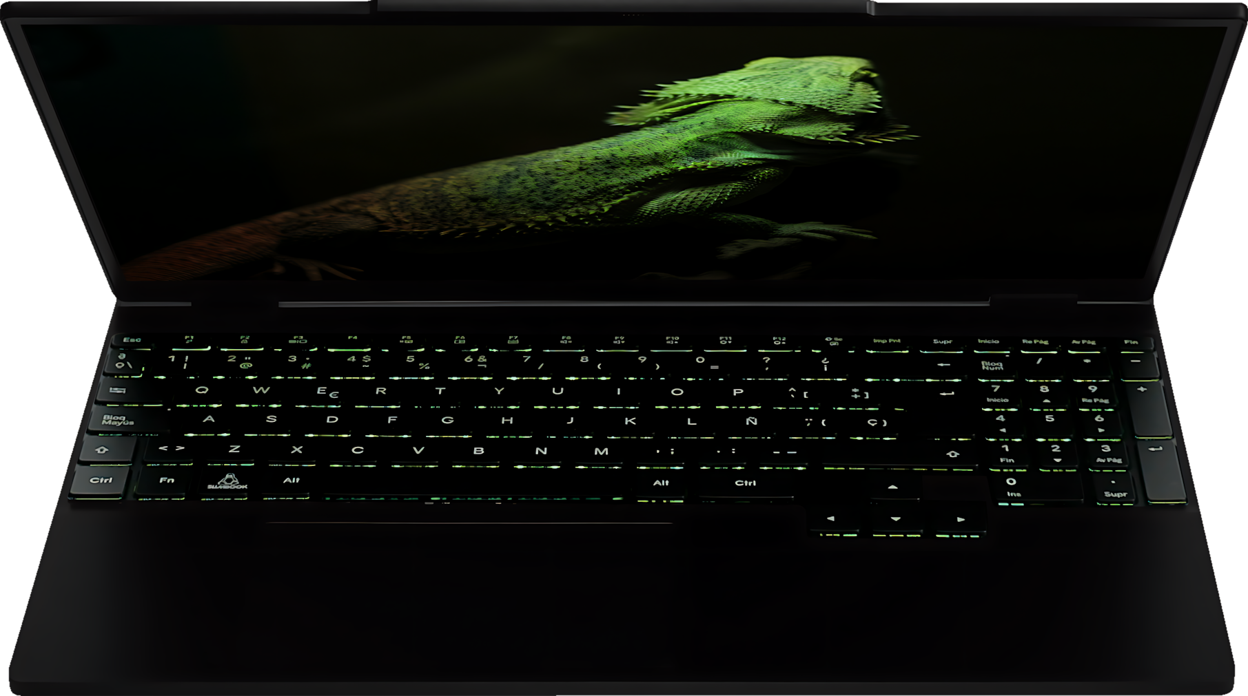 Odoo • Texto e imagen