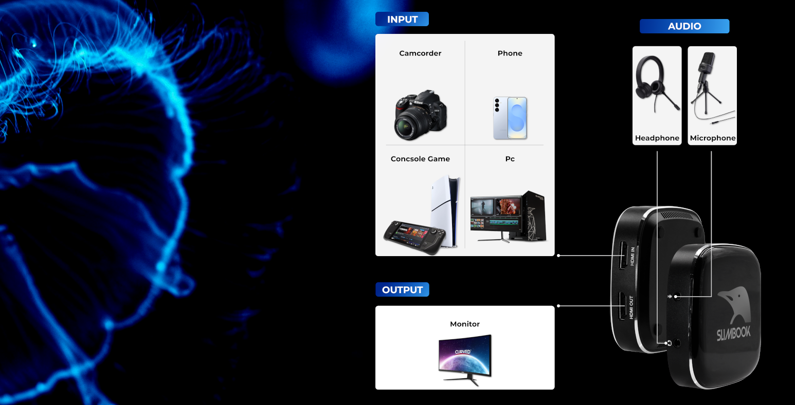 Odoo • Imagen y texto