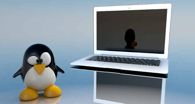 Odoo • Texto e imagen