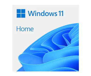 Windows 10 Home DVD 64Bit Spanish (copia)