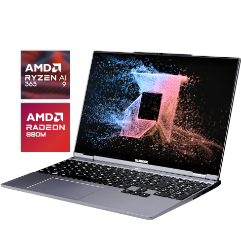 EVO 15 AMD Ryzen 7 8845HS (copia)